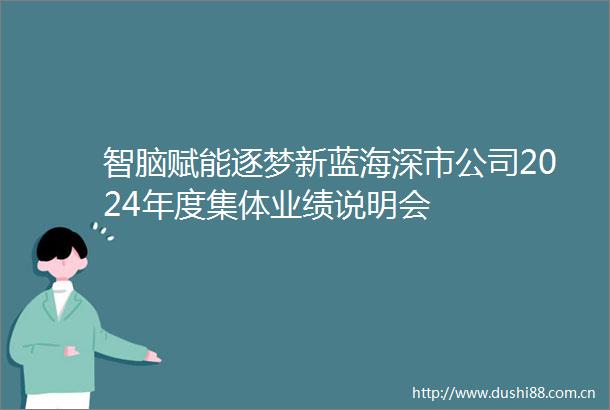 智脑赋能逐梦新蓝海深市公司2024年度集体业绩说明会