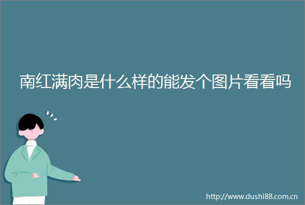 南红满肉是什么样的能发个图片看看吗