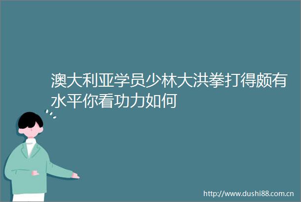 澳大利亚学员少林大洪拳打得颇有水平你看功力如何