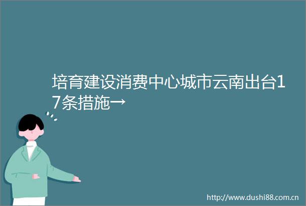 培育建设消费中心城市云南出台17条措施→
