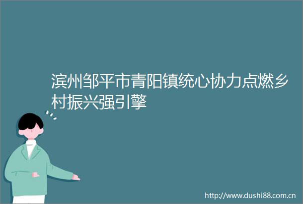滨州邹平市青阳镇统心协力点燃乡村振兴强引擎