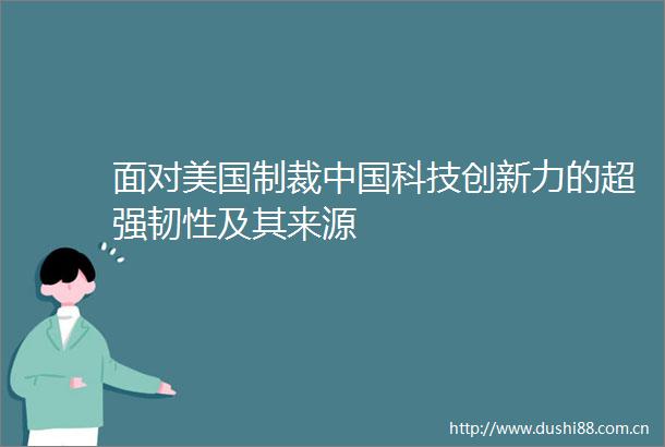 面对美国制裁科技创新力的超强韧性及其来源