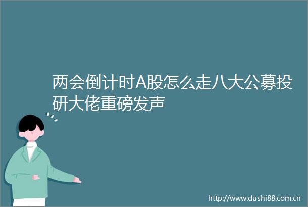 两会倒计时A股怎么走八大公募投研大佬重磅发声