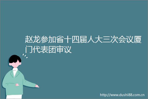 赵龙参加省十四届人大三次会议厦门代表团审议