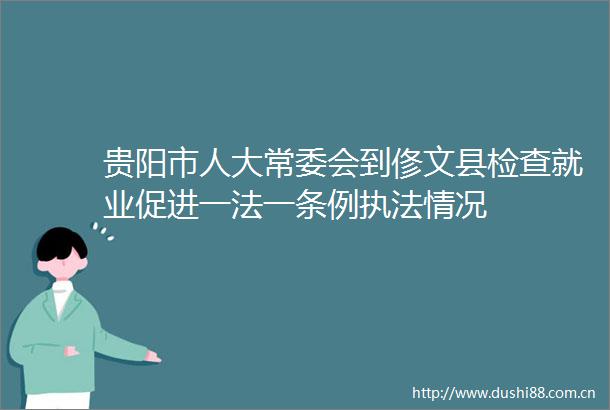 贵阳市人大常委会到俢文县检查就业促进一法一条例情况