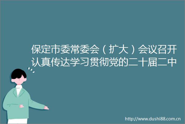 保定市委常委会（扩大）会议召开认真传达学习贯彻党的二十届二中全会和总书记重要讲话重要指示精神
