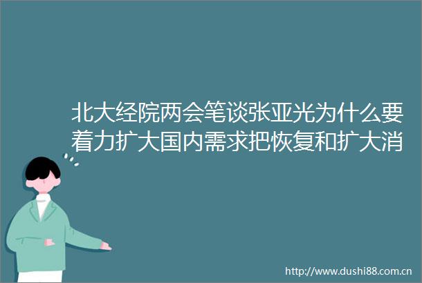 北大经院两会笔谈张亚光为什么要着力扩大国内需求把恢复和扩大消费摆在优先位置