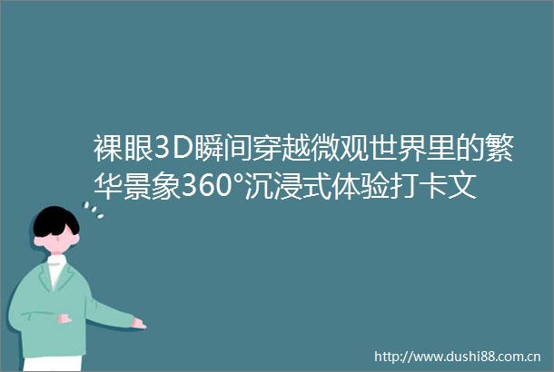 裸眼3D瞬间穿越微观世界里的繁华景象360°沉浸式体验打卡文博会