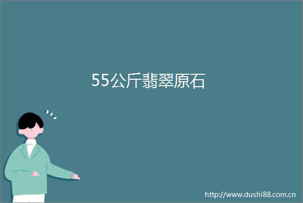 55公斤翡翠原石