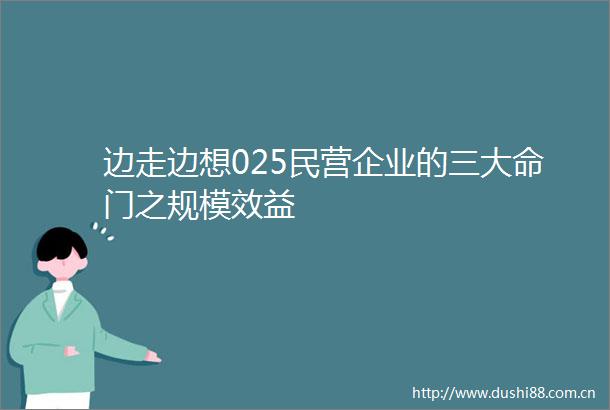 边走边想025民营企业的三大命门之规模效益