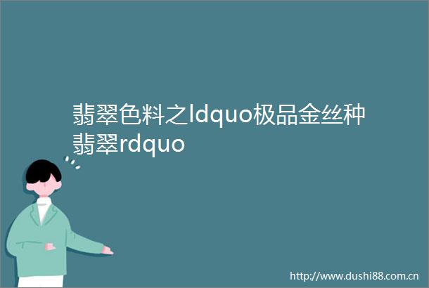 翡翠色料之ldquo极品金丝种翡翠rdquo