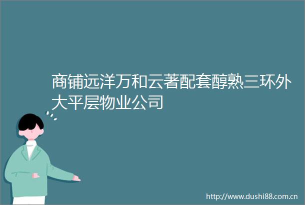 商铺远洋万和云著配套醇熟三环外大平层物业公司