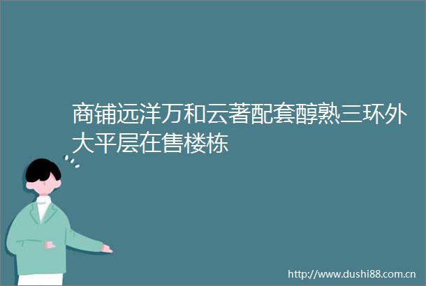 商铺远洋万和云著配套醇熟三环外大平层在售楼栋