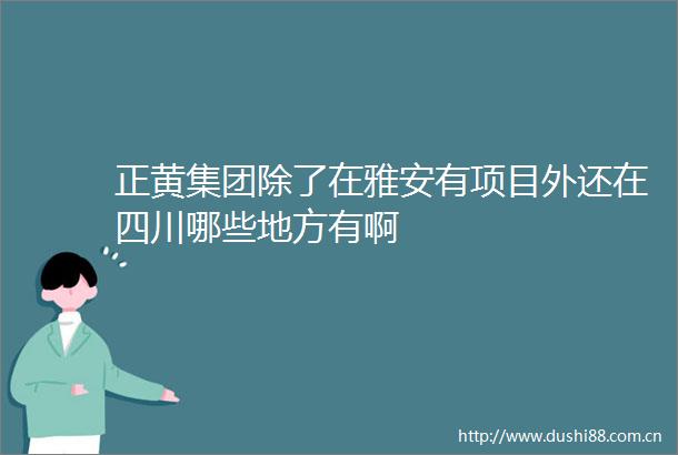 正黄集团除了在雅安有项目外还在四川哪些地方有啊