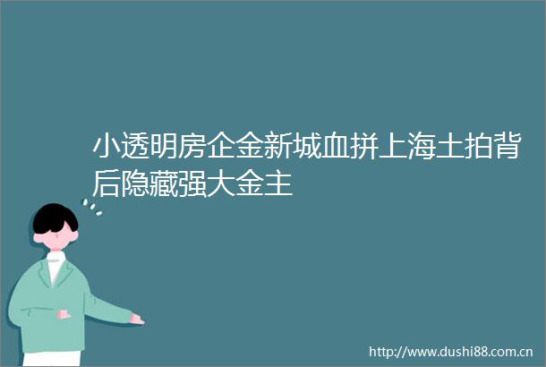 小透明房企金新城血拼上海土拍背后隐藏强大金主