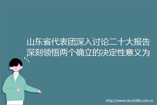 山东省代表团深入讨论二十大报告深刻领悟两个确立的决定性意义为全面建设社会主义现代化作出新贡献