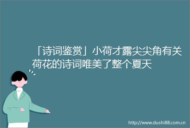 「诗词鉴赏」小荷才露尖尖角有关荷花的诗词唯美了整个夏天