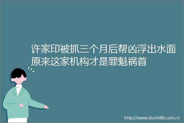 许家印被抓三个月后帮凶浮出水面原来这家机构才是罪魁祸首
