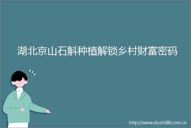 湖北京山石斛种植解锁乡村财富密码