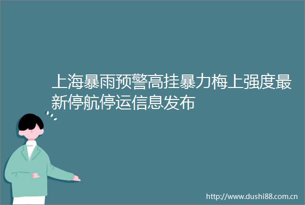 上海暴雨预警高挂梅上强度最新停航停运信息发布