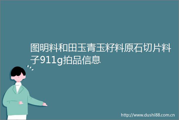 图明料和田玉青玉籽料原石切片料子911g拍品信息