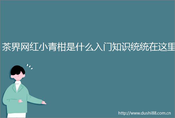 茶界网红小青柑是什么入门知识统统在这里