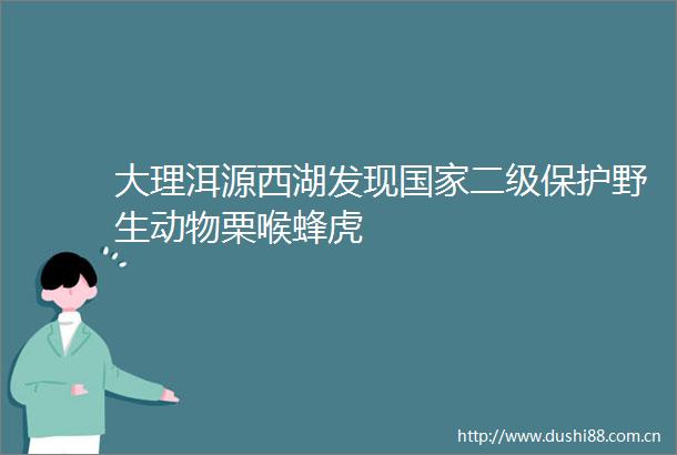 大理洱源西湖发现二级保护野生动物栗喉蜂虎