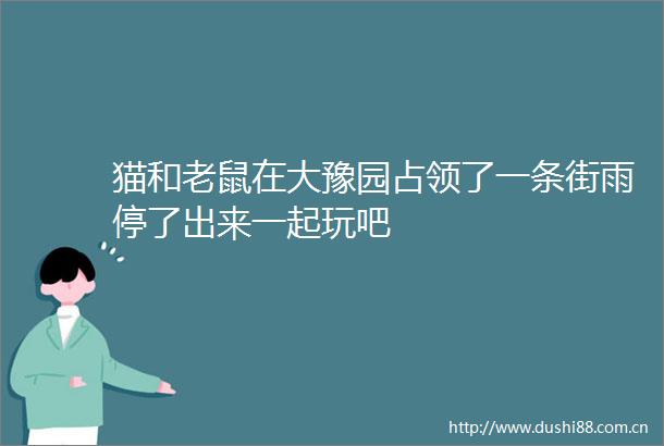 猫和老鼠在大豫园占领了一条街雨停了出来一起玩吧