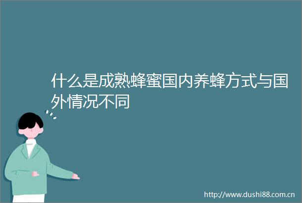 什么是成熟蜂蜜国内养蜂方式与国外情况不同