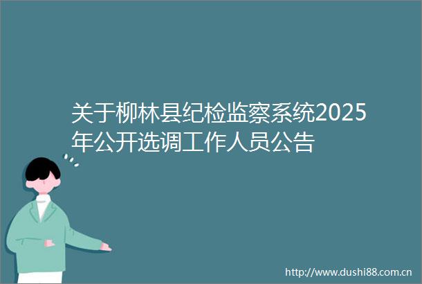 关于柳林县纪检监察系统2025年公开选调工作人员公告