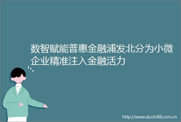 数智赋能普惠金融浦发北分为小微企业精准注入金融活力