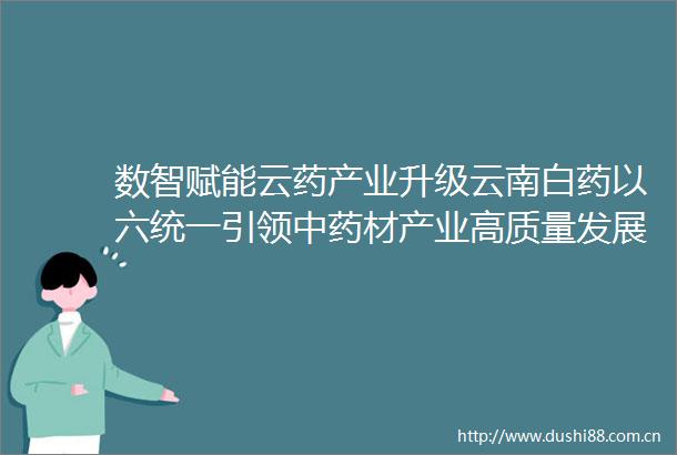 数智赋能云药产业升级云南白药以六统一引领中药材产业高质量发展