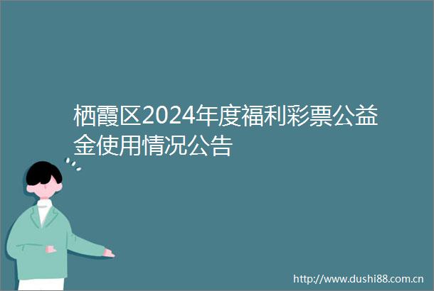 栖霞区2024年度福利彩票公益金使用情况公告