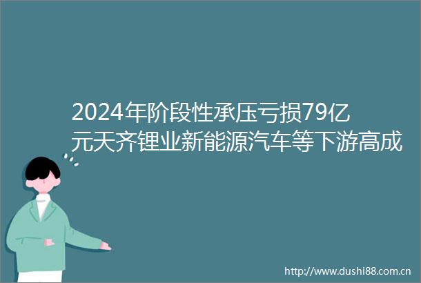2024年阶段性承压亏损79亿元天齐锂业新能源汽车等下游高成长预期客观存在