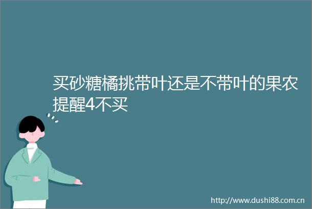 买砂糖橘挑带叶还是不带叶的果农提醒4不买