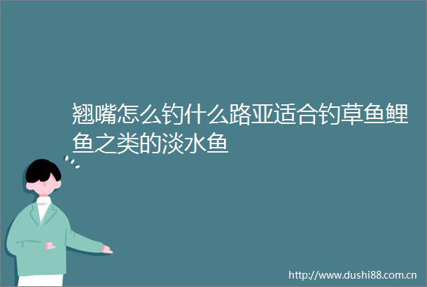 翘嘴怎么钓什么路亚适合钓草鱼鲤鱼之类的淡水鱼