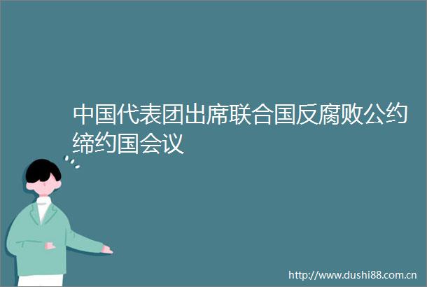 代表团出席联合国反公约缔约国会议