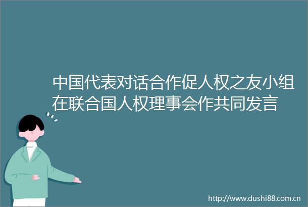 代表对话合作促人权之友小组在联合国人权理事会作共同发言