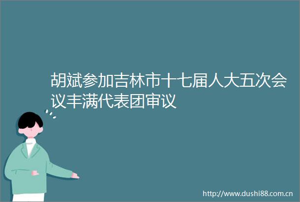胡斌参加吉林市十七届人大五次会议丰满代表团审议