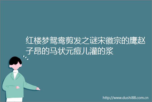 红楼梦鸳鸯剪发之谜宋徽宗的鹰赵子昂的马状元痘儿灌的浆
