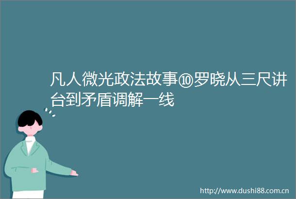 凡人微光政法故事⑩罗晓从三尺讲台到矛盾调解一线