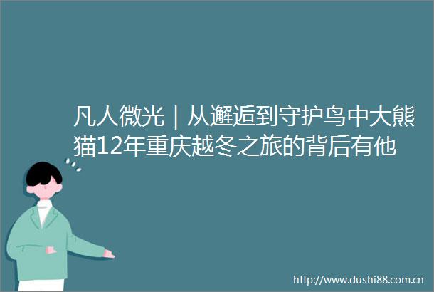 凡人微光｜从邂逅到守护鸟中大熊猫12年重庆越冬之旅的背后有他们→
