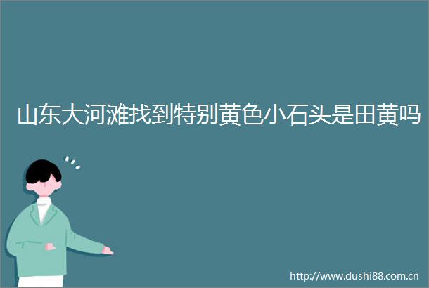 山东大河滩找到特别黄色小石头是田黄吗