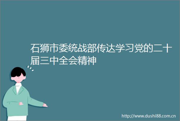 石狮市委统战部传达学习党的二十届三中全会精神