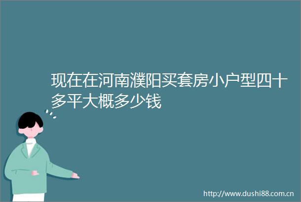 现在在河南濮阳买套房小户型四十多平大概多少钱