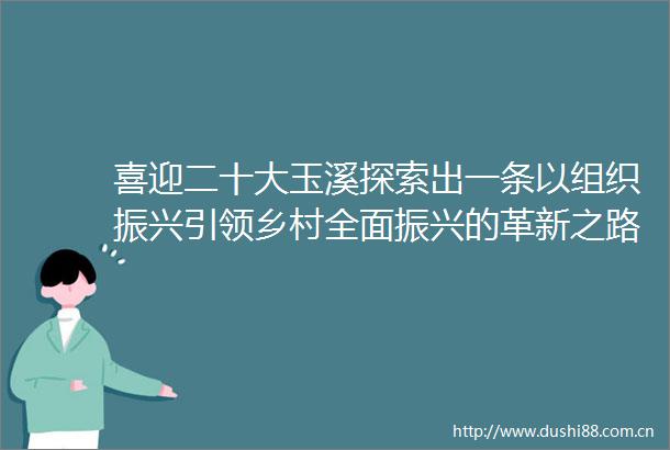 喜迎二十大玉溪探索出一条以组织振兴引领乡村全面振兴的革新之路