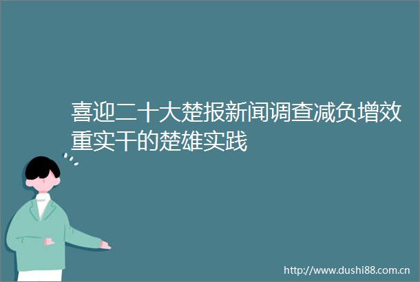 喜迎二十大楚报新闻调查减负增效重实干的楚雄实践