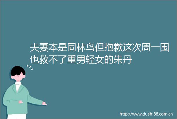 夫妻本是同林鸟但抱歉这次周一围也救不了重男轻女的朱丹