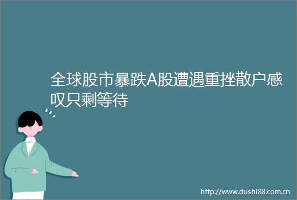 全球股市暴跌A股遭遇重挫散户感叹只剩等待