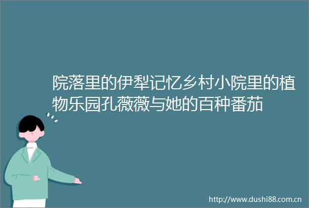 院落里的伊犁记忆乡村小院里的植物乐园孔薇薇与她的百种番茄